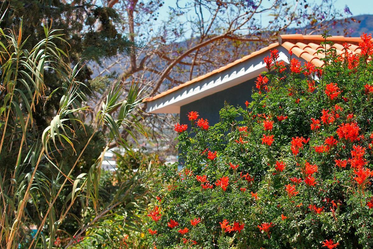 Casa Esther 埃尔帕索 外观 照片